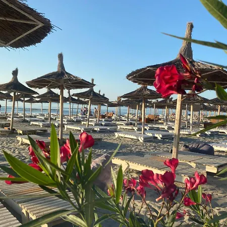 Teissey Blue Apartment Navodari