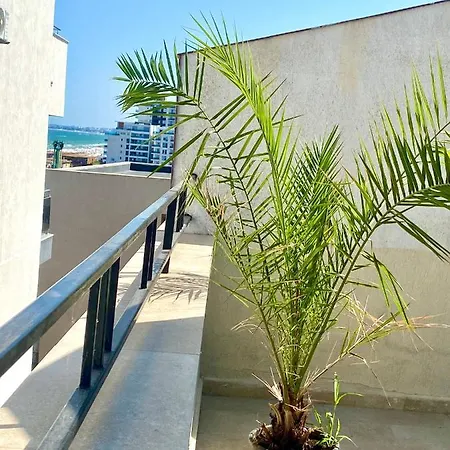 Teissey Blue * Năvodari